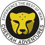 Cheetah Adventures