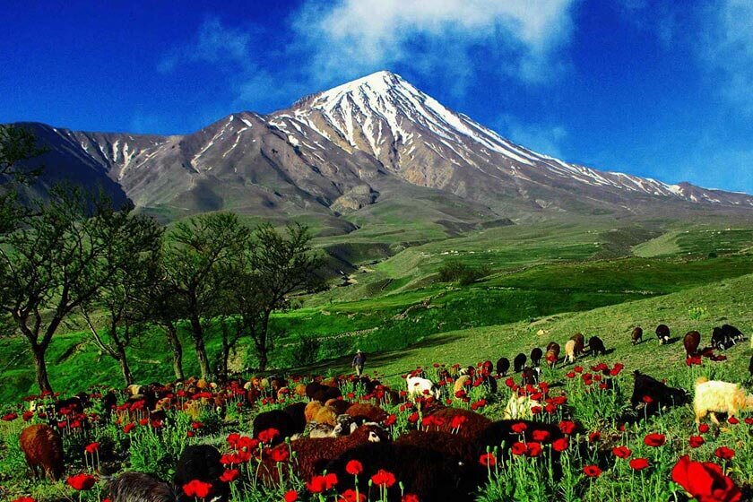 Damavand’s Flora and Fauna visit iran tour packages travel to iran Cheetah adventures 