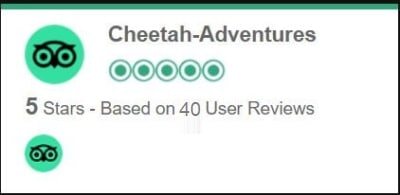 Cheetah adventures iran travel agency review reviews by tripadvisor1