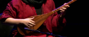 Iranian Traditional Music and Instruments Tanbur